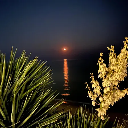 Lägenhet Sun Wave Presige *