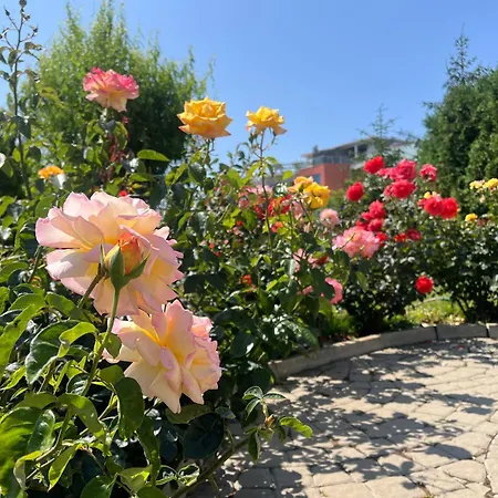 Sun Wave Presige Lägenhet Sveti Vlas