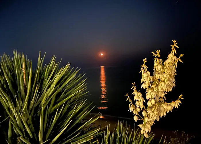 Lägenhet Sun Wave Presige *