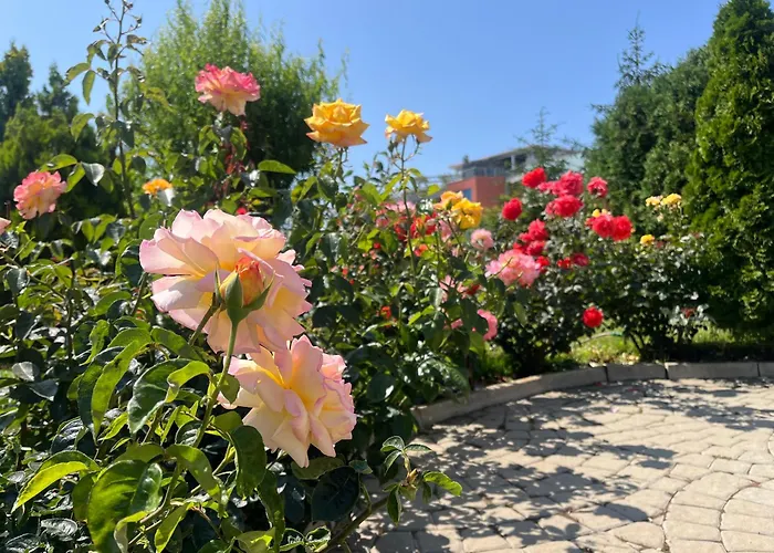 Sun Wave Presige Lägenhet Sveti Vlas